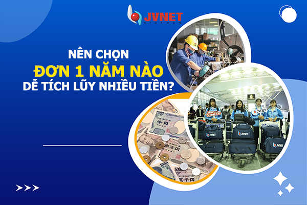 nên chọn đơn 1 năm nào tốt
