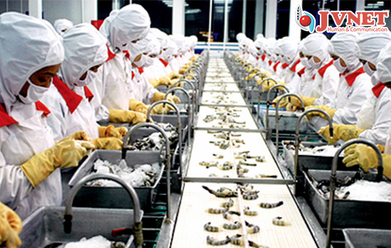 Mức lương đi xuất khẩu lao động Nhật Bản đơn hàng thực phẩm