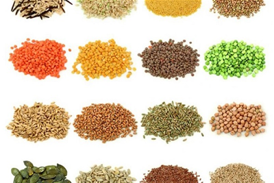 Giải đáp: Có được mang hạt giống sang Đức không? 